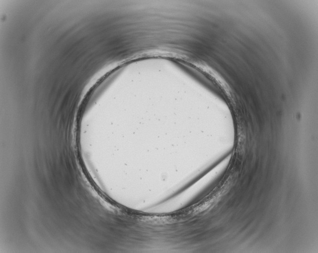 X0000086110902200704202303