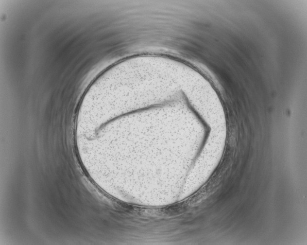 X0000086110903200704202303