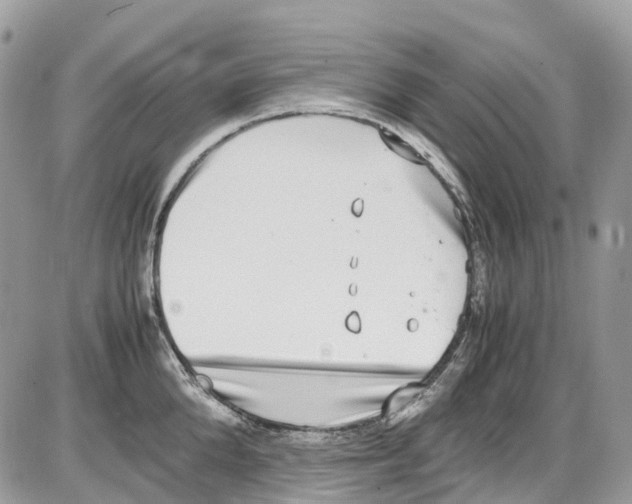 X0000086110904200704202303