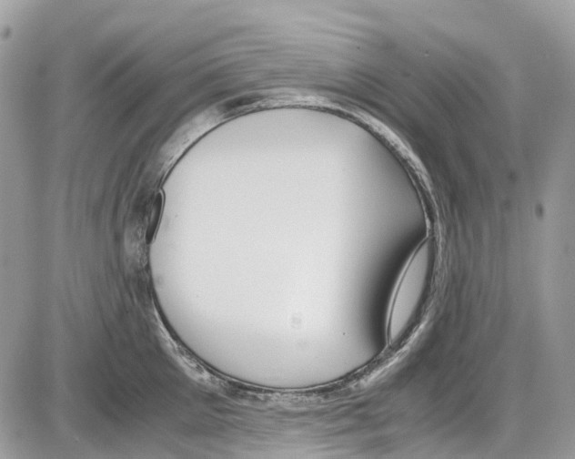 X0000086110905200704202303