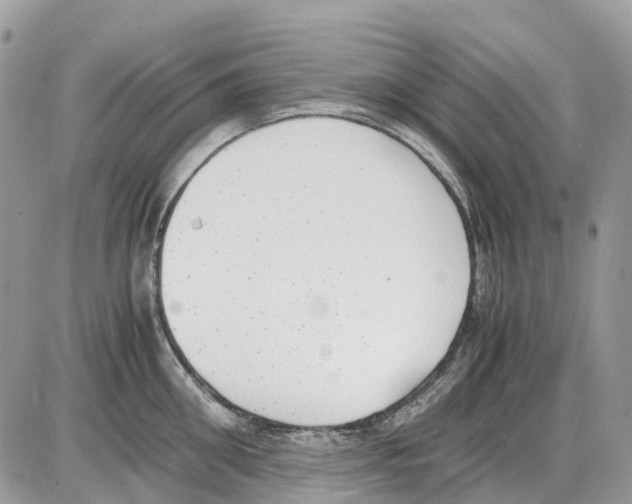 X0000086110906200704202303