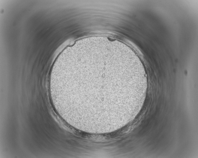 X0000086110907200704202303