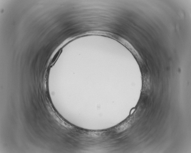 X0000086110908200704202303