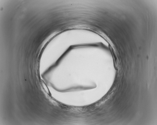 X0000086110909200704202303