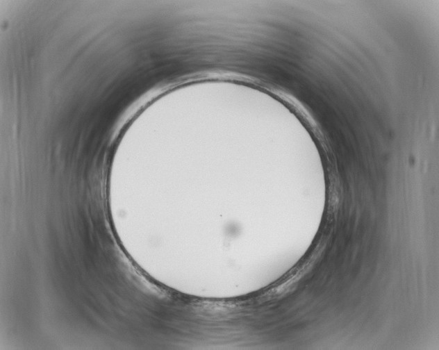 X0000086110910200704202303