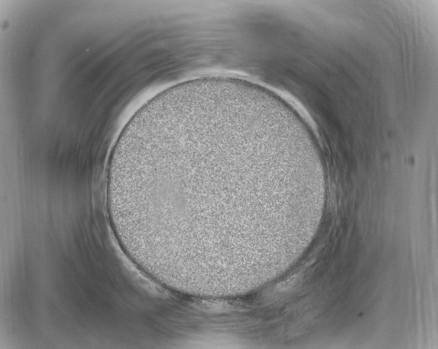 X0000086110911200704202303