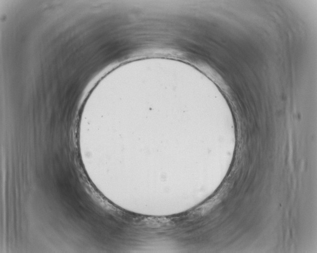 X0000086110912200704202303