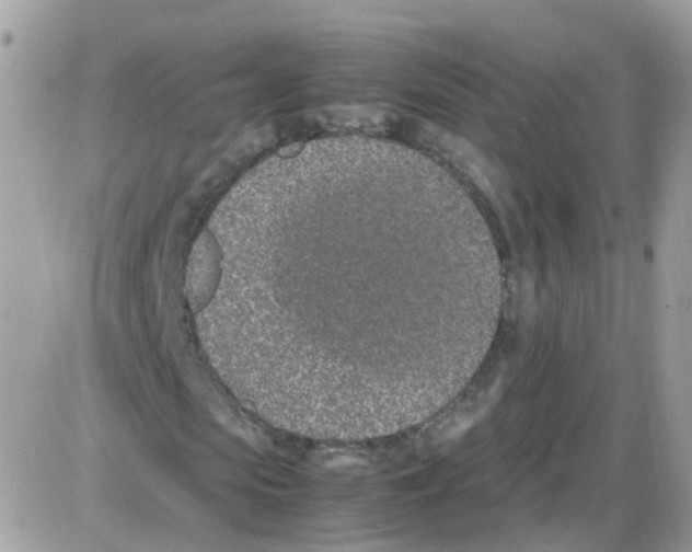 X0000086110913200704202302