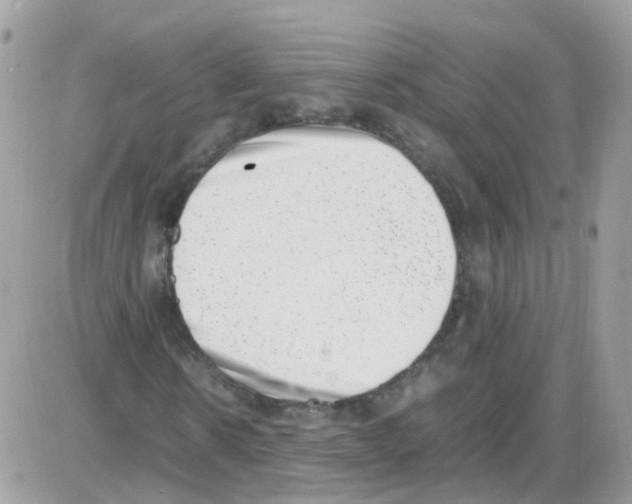 X0000086110914200704202302