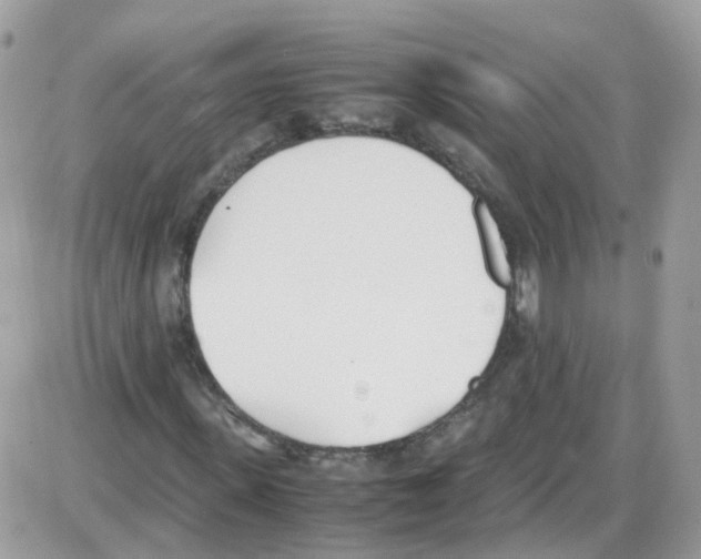 X0000086110915200704202302