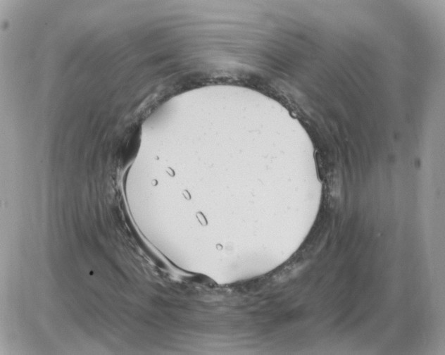 X0000086110916200704202302