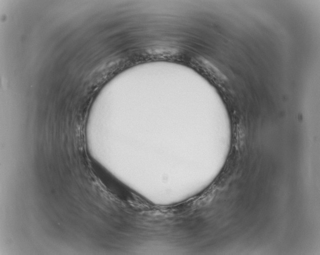 X0000086110917200704202302