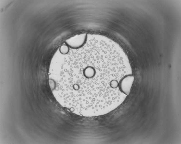 X0000086110918200704202302