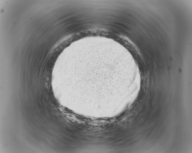 X0000086110919200704202302