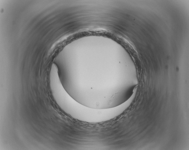 X0000086110920200704202302