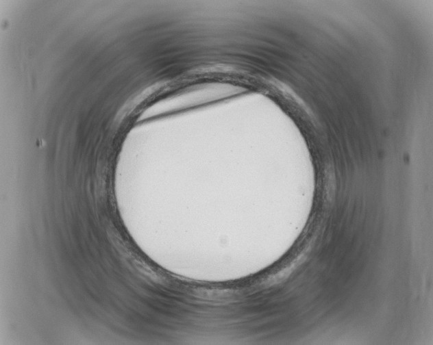 X0000086110921200704202302