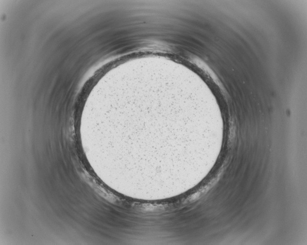 X0000086110923200704202302