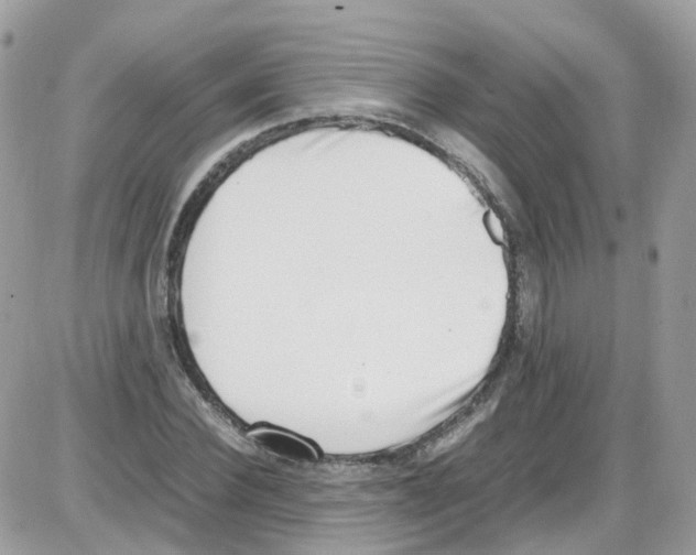 X0000086110924200704202302