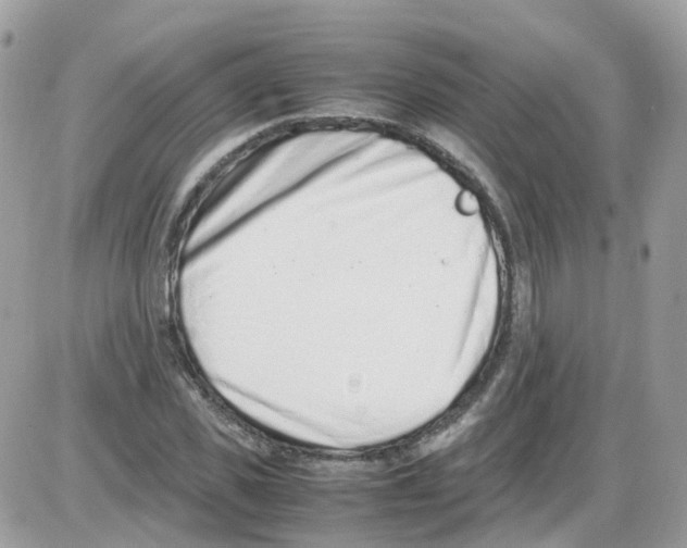 X0000086110925200704202302