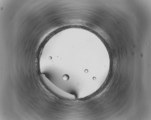 X0000086110926200704202302