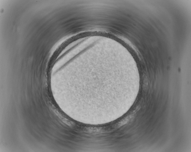 X0000086110927200704202302