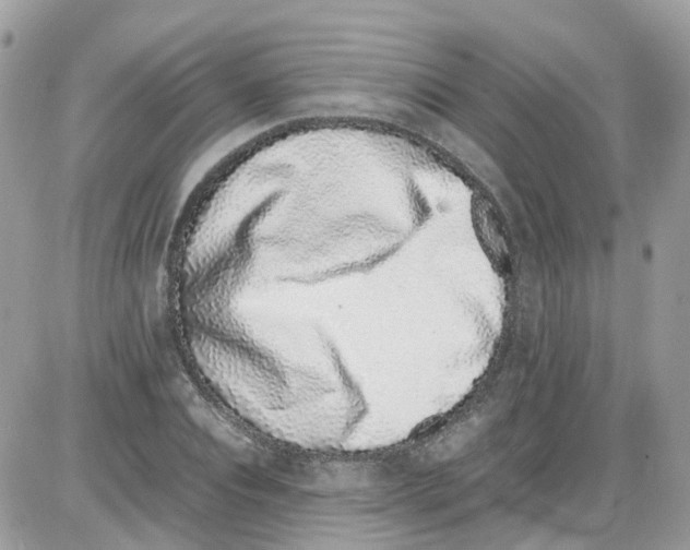 X0000086110928200704202302