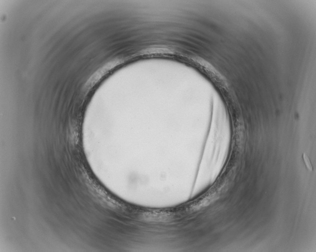 X0000086110929200704202302