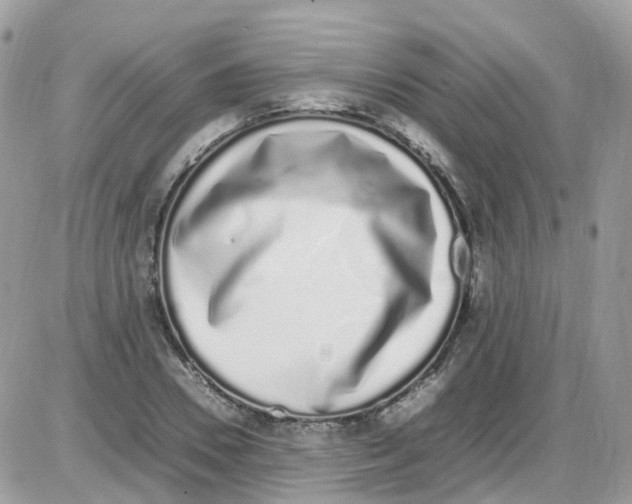 X0000086110930200704202302