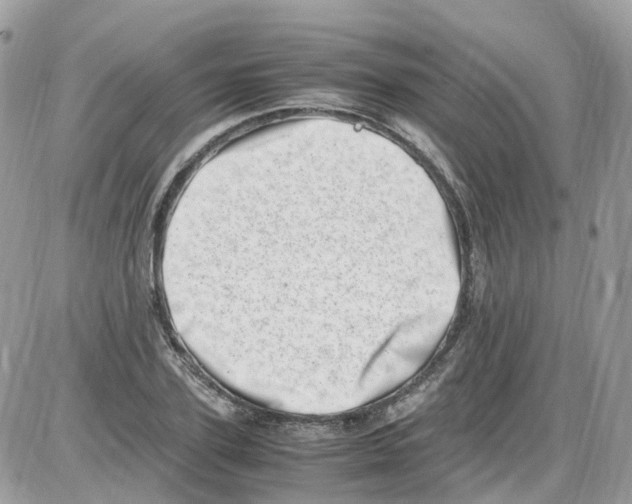 X0000086110931200704202302