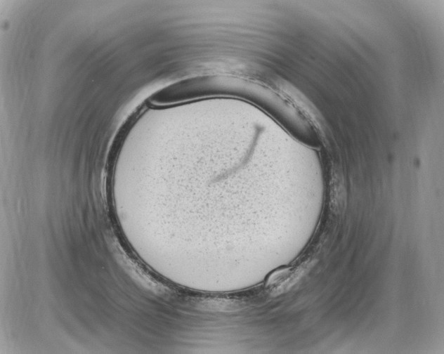 X0000086110932200704202302