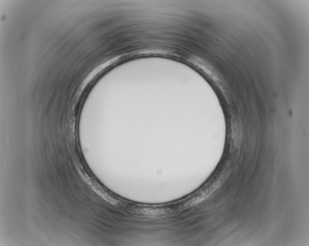 X0000086110933200704202302