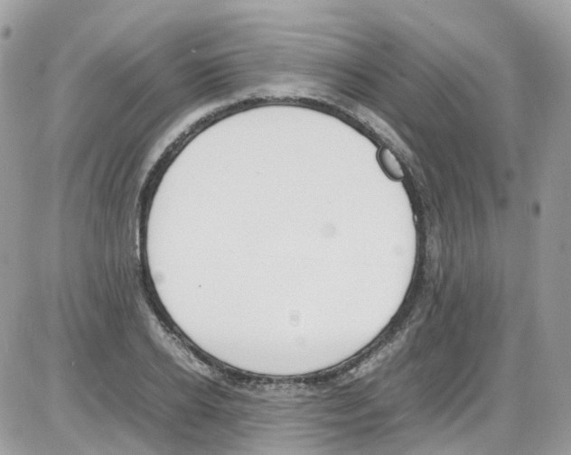 X0000086110934200704202302