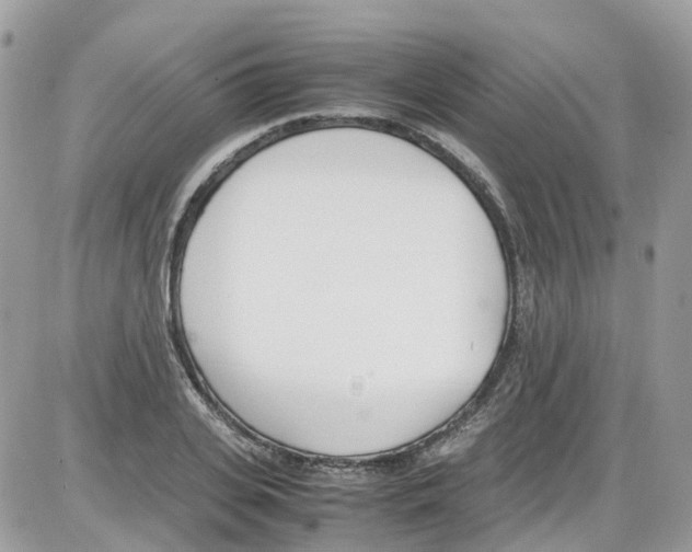 X0000086110935200704202302