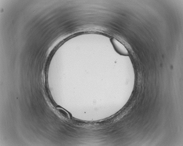 X0000086110936200704202302