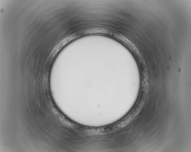 X0000086110937200704202302