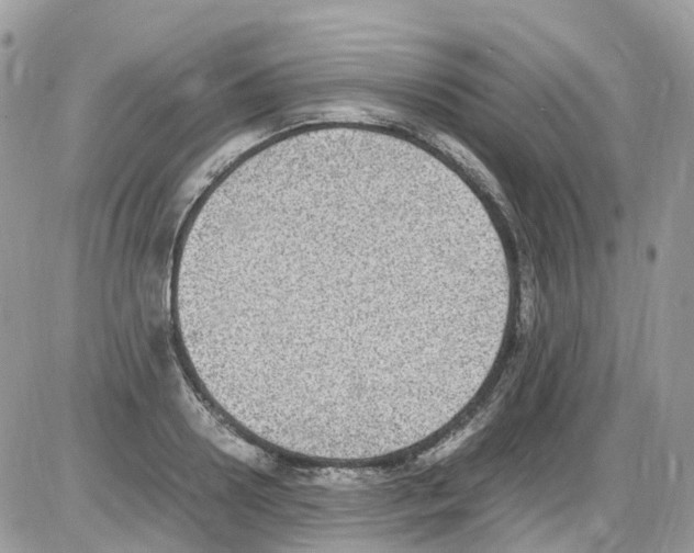 X0000086110938200704202302