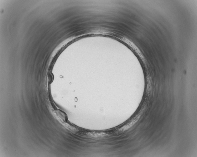 X0000086110939200704202302