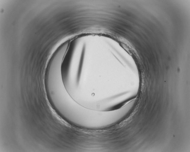 X0000086110942200704202302