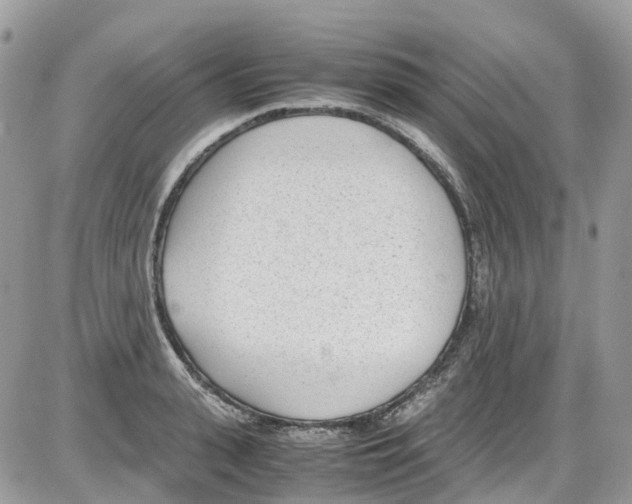 X0000086110943200704202302