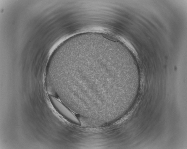 X0000086110944200704202302