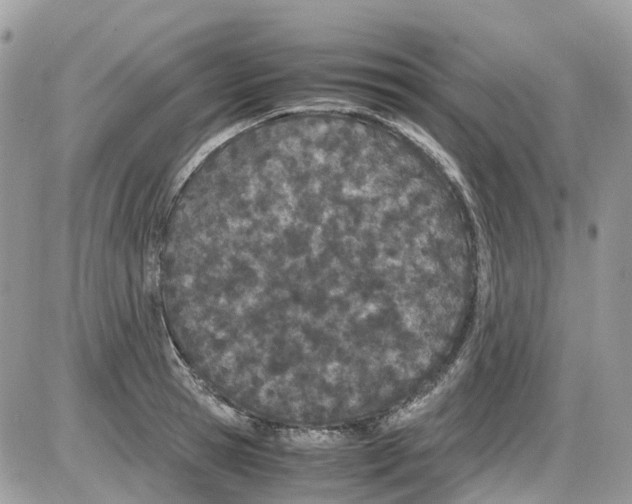 X0000086110945200704202302