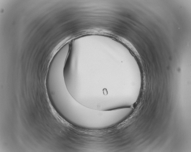 X0000086110946200704202302