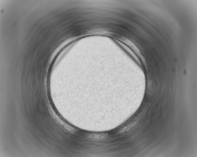 X0000086110947200704202302