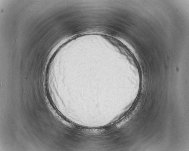 X0000086110949200704202302