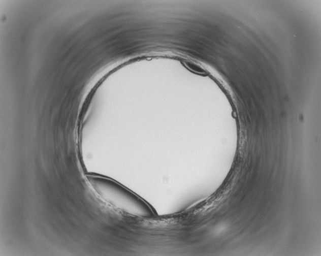 X0000086110951200704202302