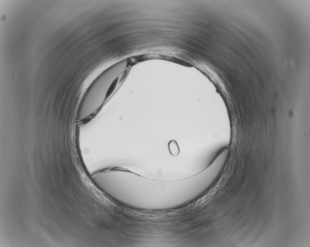 X0000086110952200704202302