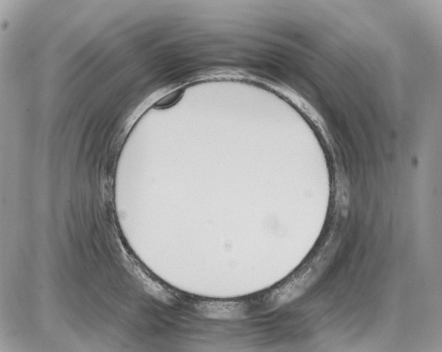 X0000086110953200704202302