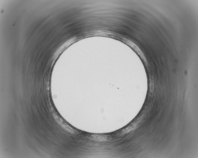 X0000086110954200704202302