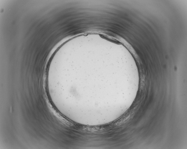 X0000086110955200704202302