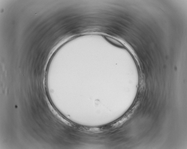 X0000086110957200704202302